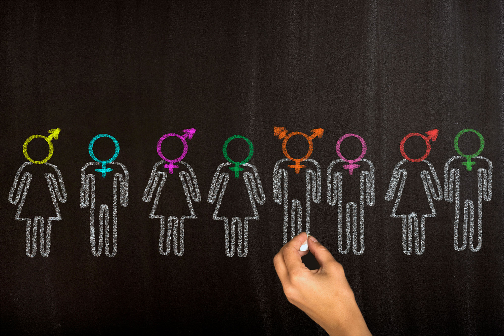 chalkboard illustration of figures with different gender identities